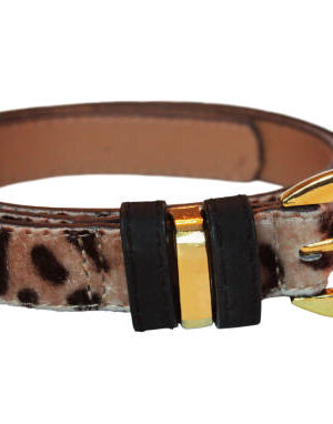 Female belt coiled isolated on white background.